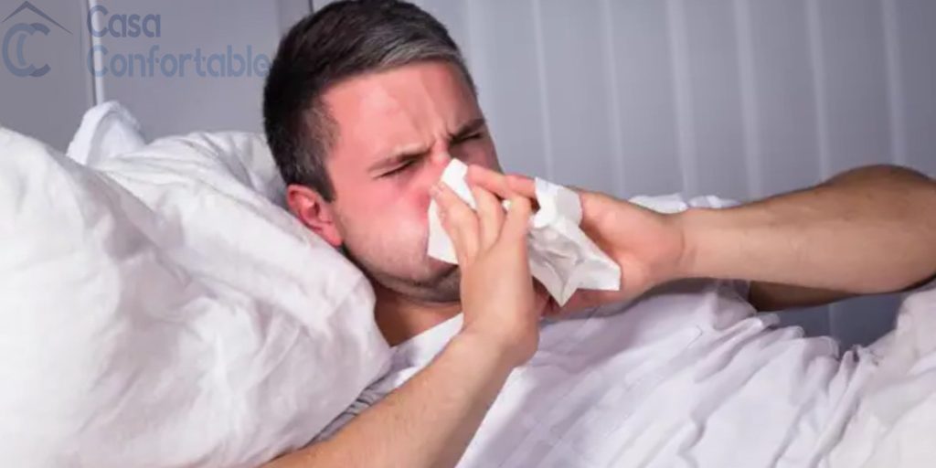 Alergia a los ácaros del colchón