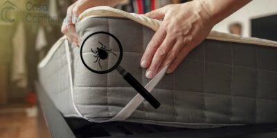 como eliminar ácaros de un colchón