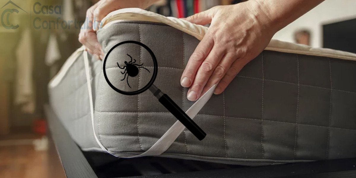 como eliminar ácaros de un colchón