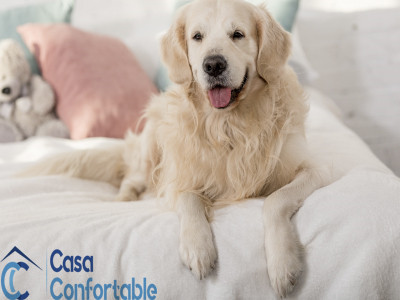Quitar pelos de perro o gato de la cama