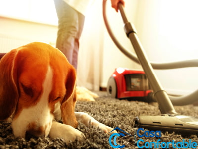 Aspiradora para pelos de perro
