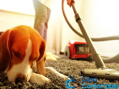 Aspiradora para pelos de perro