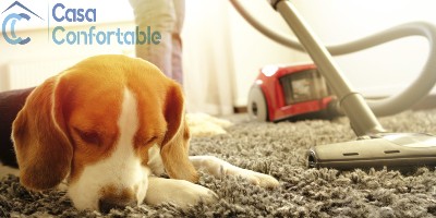 Aspiradora de trineo para recoger pelos de perro o gato