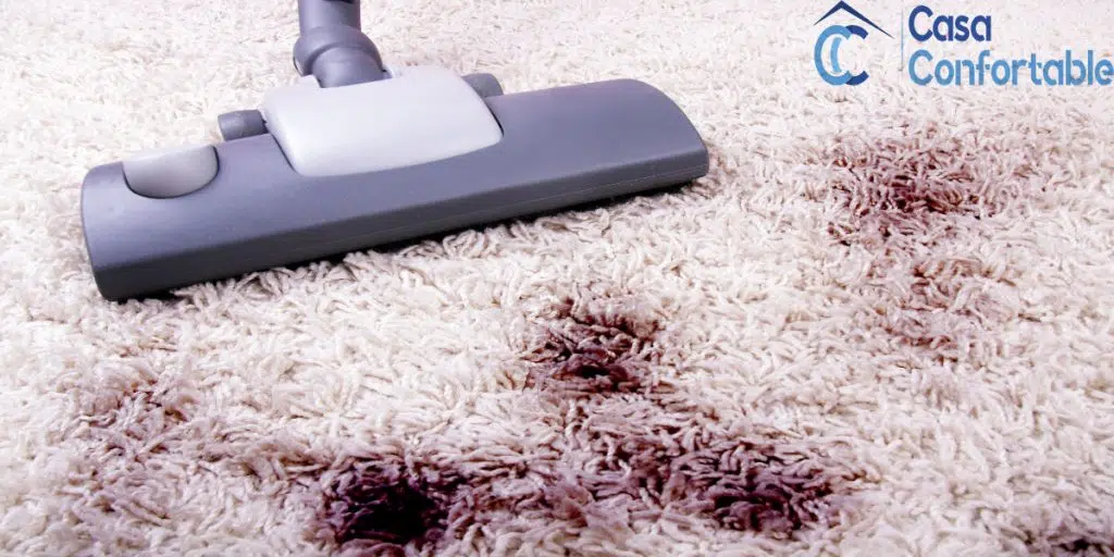 Limpieza doméstica de una alfombra
