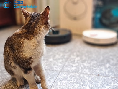 probando robots aspirador para pelos de mascotas