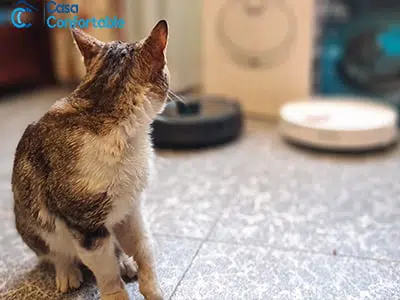 probando robots aspirador para pelos de mascotas