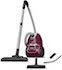 Rowenta Compact Power RO3969 aspirador